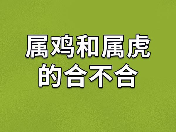 属虎与属鸡合不合财 属鸡做餐饮生意怎么样是什么意思？
