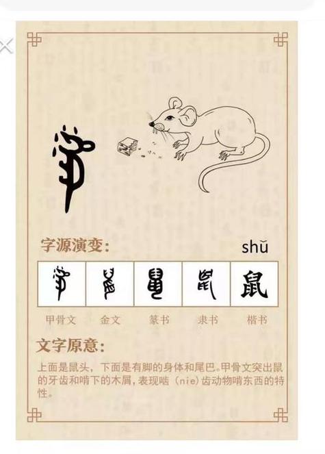 鼠宝宝起名字用象字 84年的鼠注册公司起什么名字好