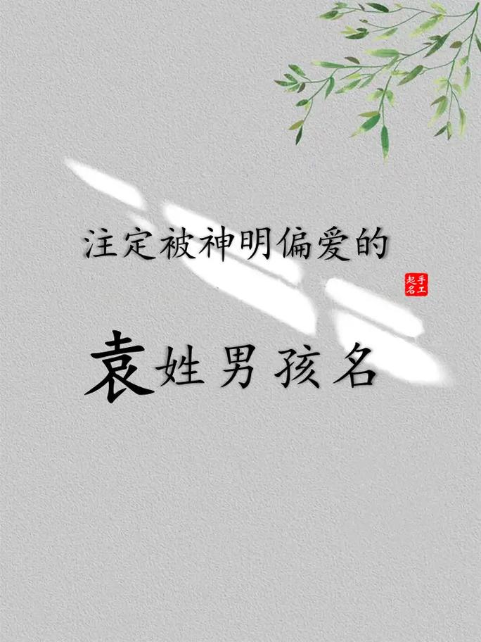 姓袁兔宝宝起名大全男 袁姓起名蛇宝宝男