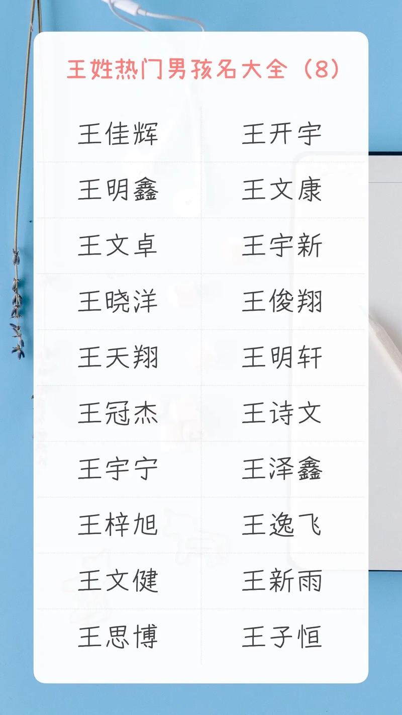 猴年男宝宝取名姓王 猴年男宝取名大全