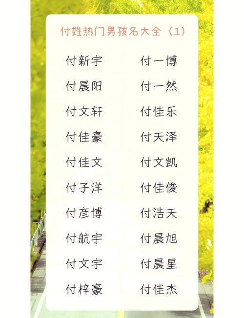 付姓猪宝宝起名字 付姓家谱24字辈