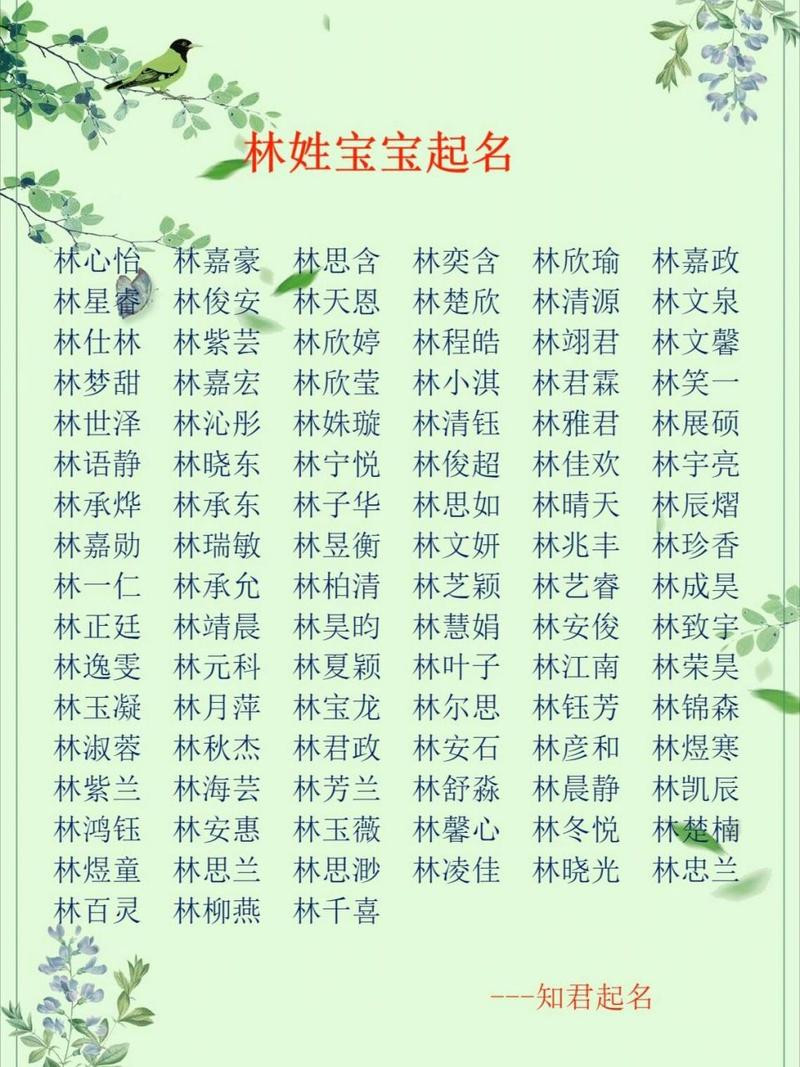 林子旁女宝宝起名字 林子楠名字好吗