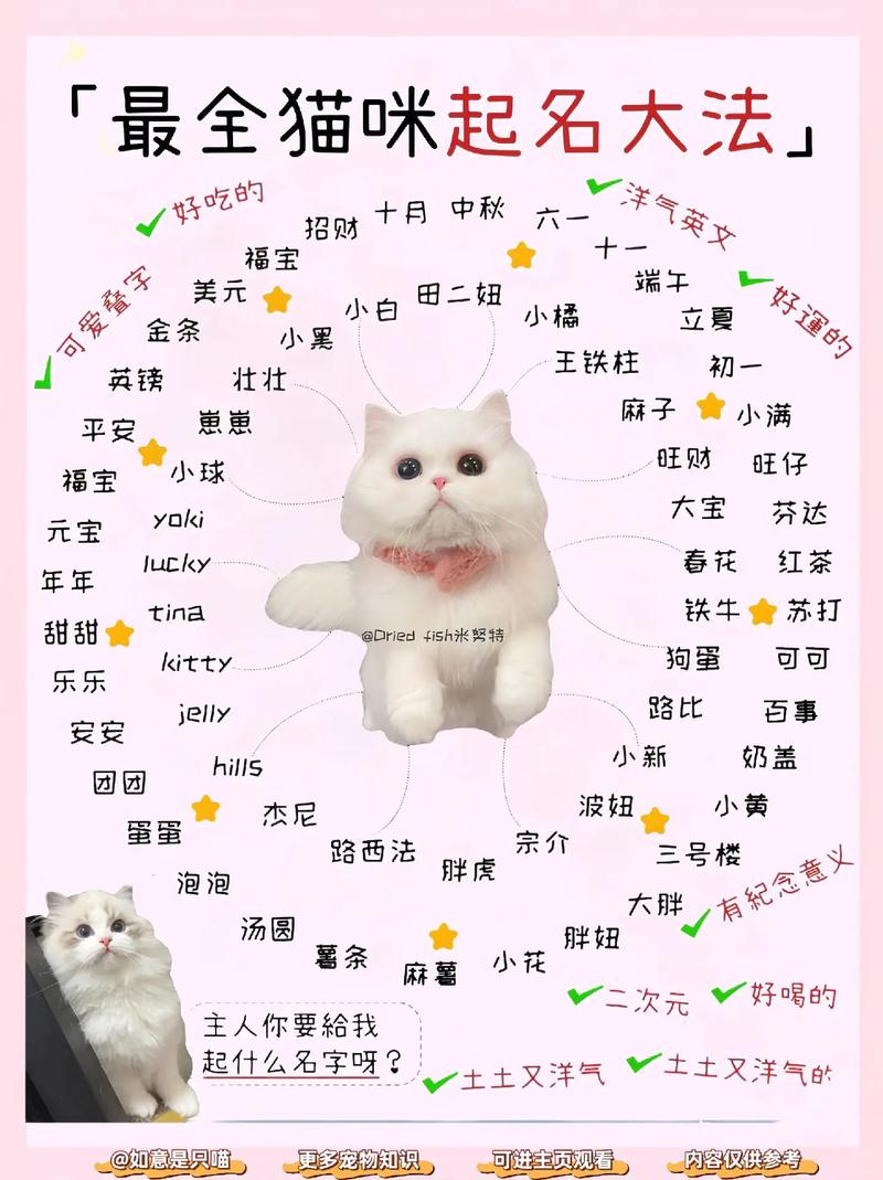 宝宝取名猫猫好吗女生 女生缺火取名最旺字