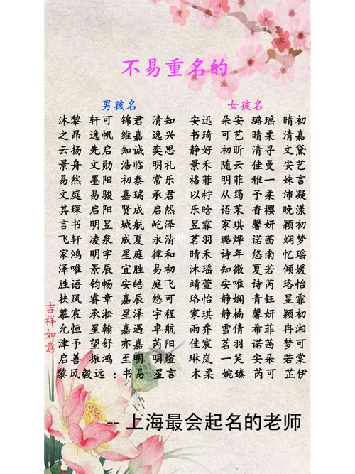 没重名的宝宝取名大全男孩 2025取名重名率