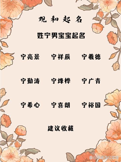 姓宁的男宝宝起名两个字 姓宁男孩名字简单二字