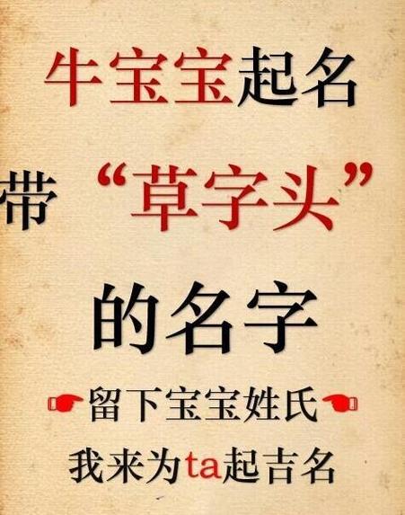 忠字适合牛宝宝取名吗男孩 11月牛宝宝取名宜用字