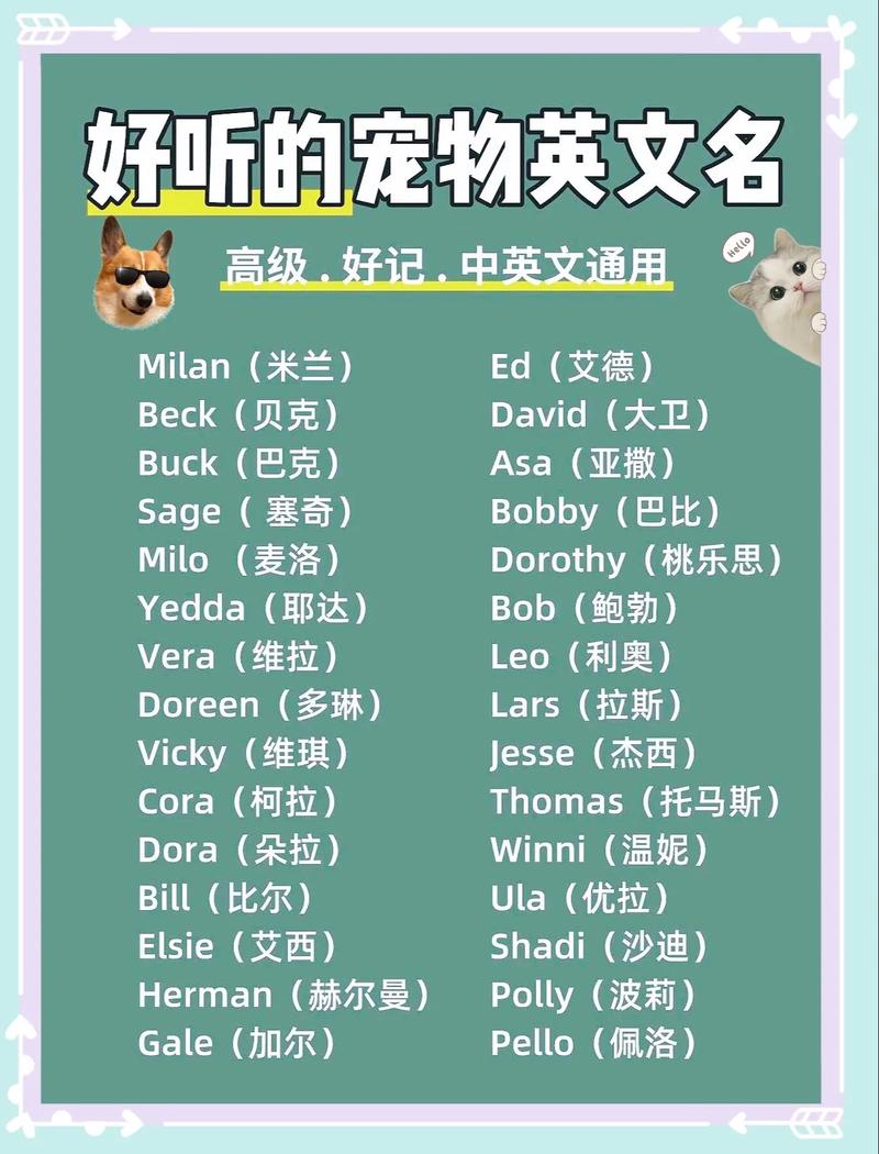 狗起名英文简单大气男宝宝 男狗取名洋气点的