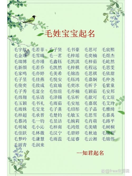 毛姓女宝宝起名大全 毛姓男孩起名评分高的名字