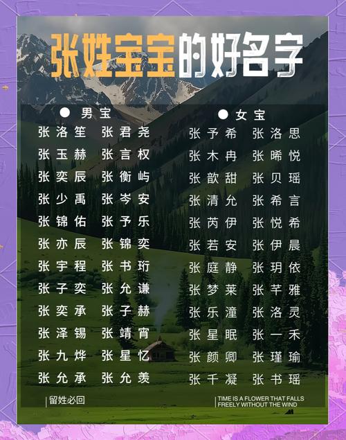 张芷字取名男宝宝怎么取 张芷后面加什么字好听