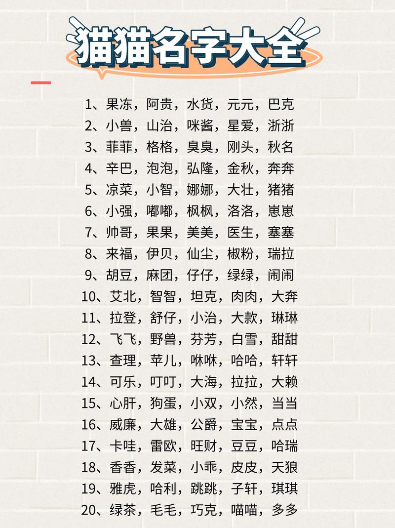 给出生猫宝宝起名字 猫叫什么名字最旺