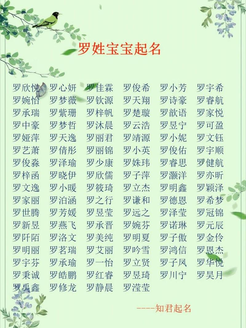 姓罗给宝宝起名字 罗名字