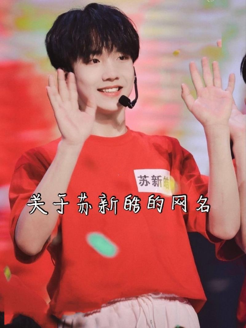 苏新皓给孩子起名字男宝宝 苏姓男宝宝取名四个字