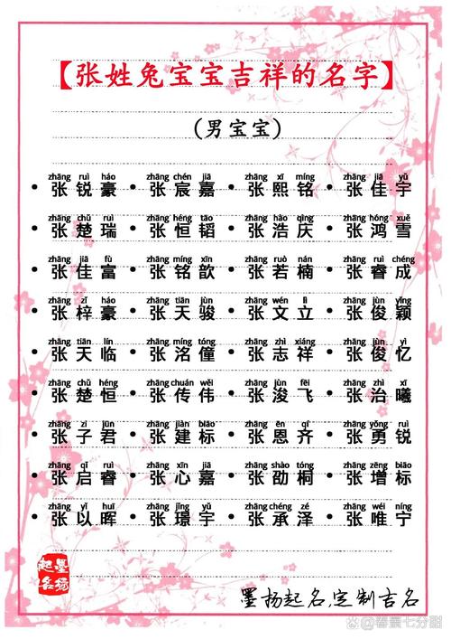 兔宝宝张姓男孩取名大全 男孩属兔小名