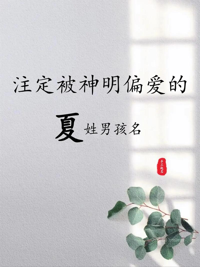 夏姓兔宝宝男孩取名大全 男孩属兔小名