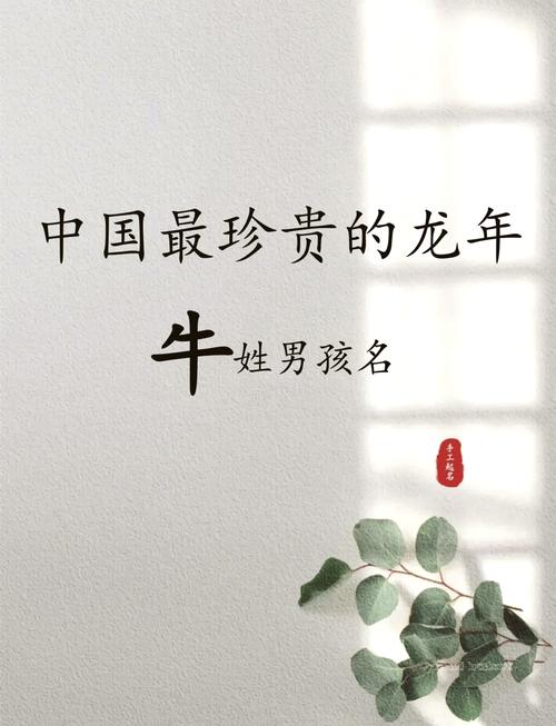 姓龙属牛宝宝起名大全 姓牛龙年出生的男孩好名字