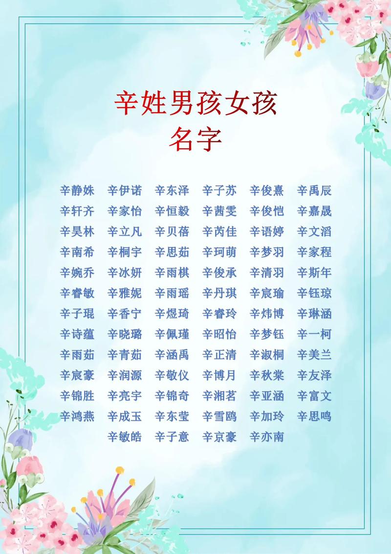 鸡年辛姓男宝宝起名大全 丁姓属鸡男孩起名