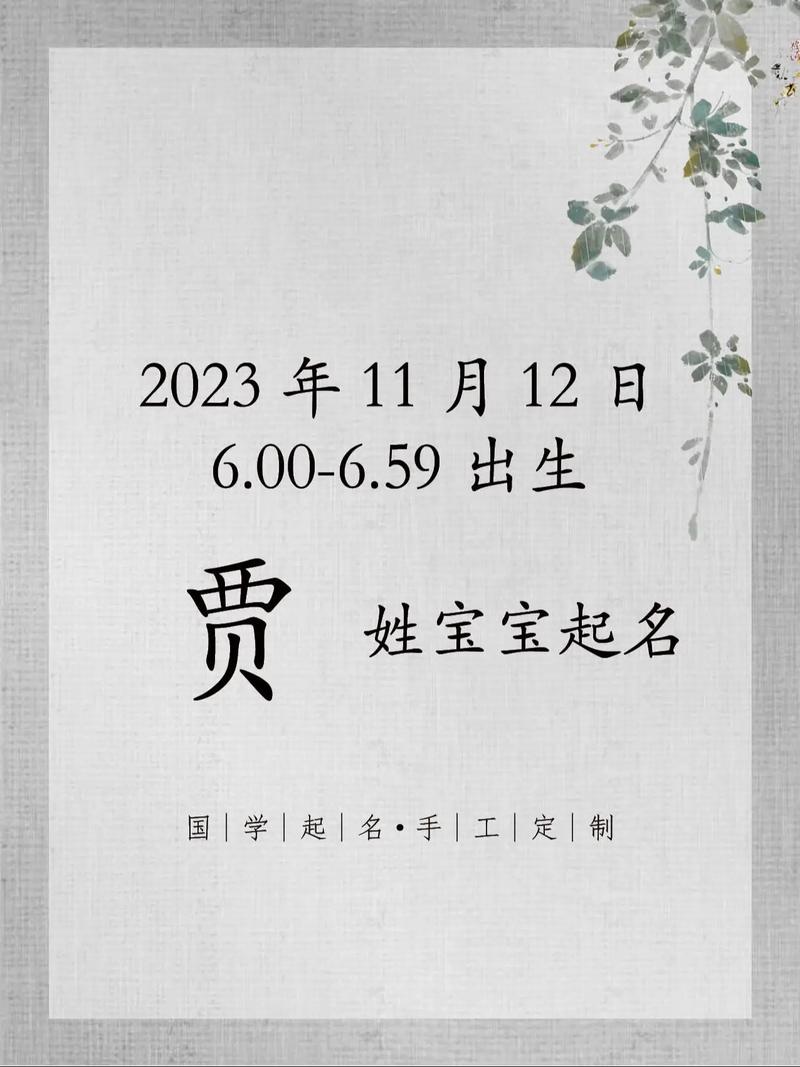 宝宝起名用贾维 维宝宝起名