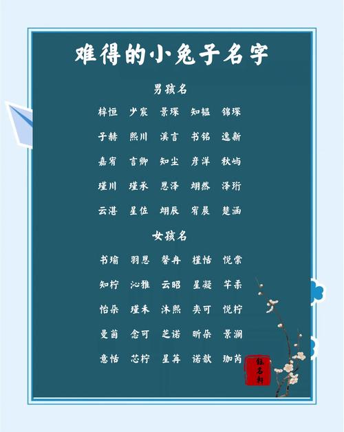 起名男孩兔宝宝名字怎么取 新生儿名字兔男孩取名大全