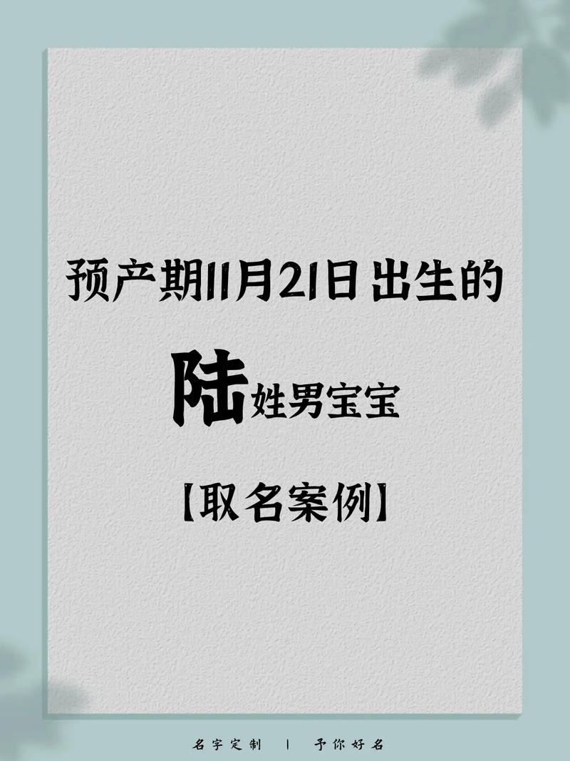 陆字鼠年宝宝起名字 陆名字