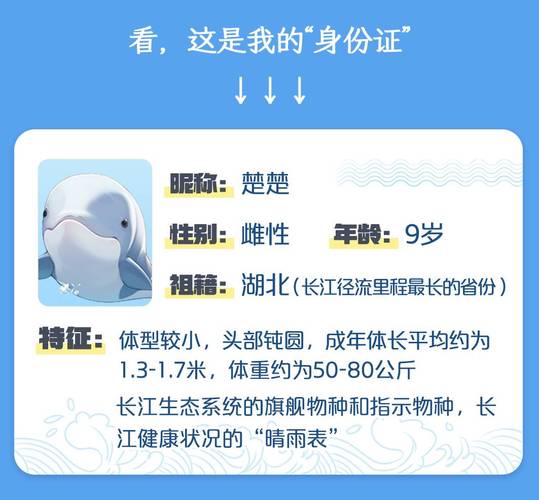 江豚宝宝起名大全女孩 鸭子起名字大全