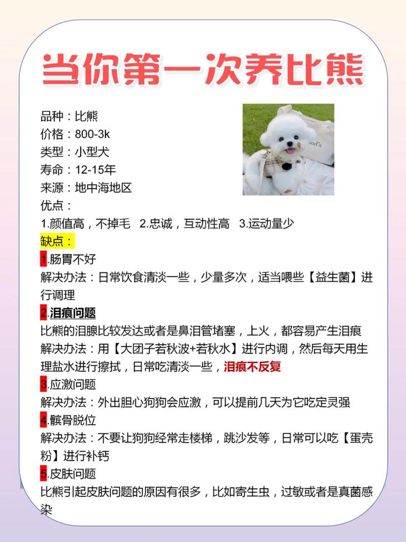 比熊男宝宝起名大全 熊氏男宝宝起名大全