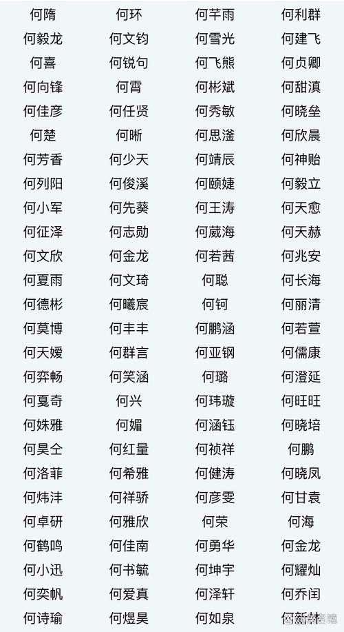 何姓男生宝宝起名100分 何姓100分男孩起名大全