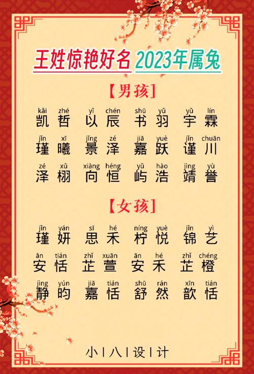 兔宝宝起名姓王怎么样男孩 兔宝宝男孩名字带有建字