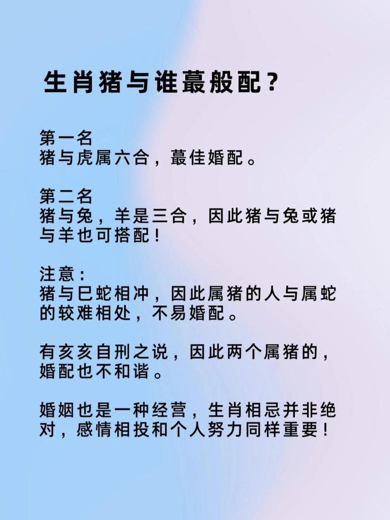 属猪与哪个生肖般配对好 属猪什么生肖配对最好是什么意思？