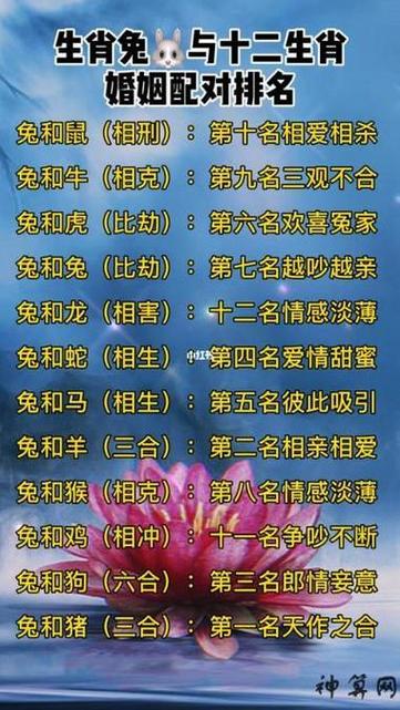 属鸡女属鼠配对行吗 属鼠和属鸡为啥是断头婚是什么意思？