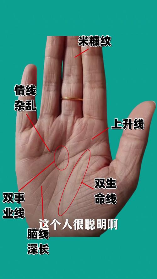 左手手相掌纹连着的 左手的掌纹片段赏析