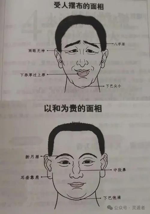 什么面相是不好的表现呢 十种面相不好的人