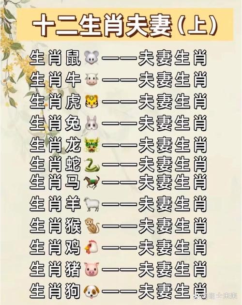 属龙属鼠配不配婚姻呢 84属鼠2025年佩戴饰物是什么意思？