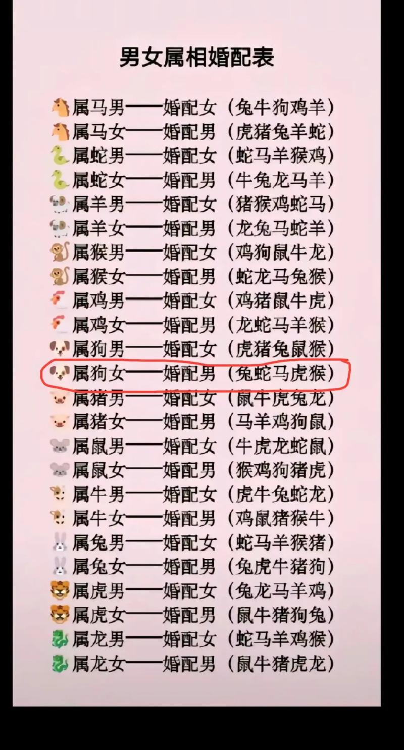 属猪男和属兔女配对指数 属兔与属猪的人适合做什么生意是什么意思？
