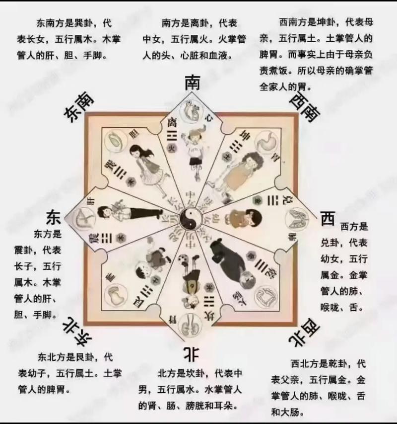 面相东北左边是西北吗 西北刀客小涛面相