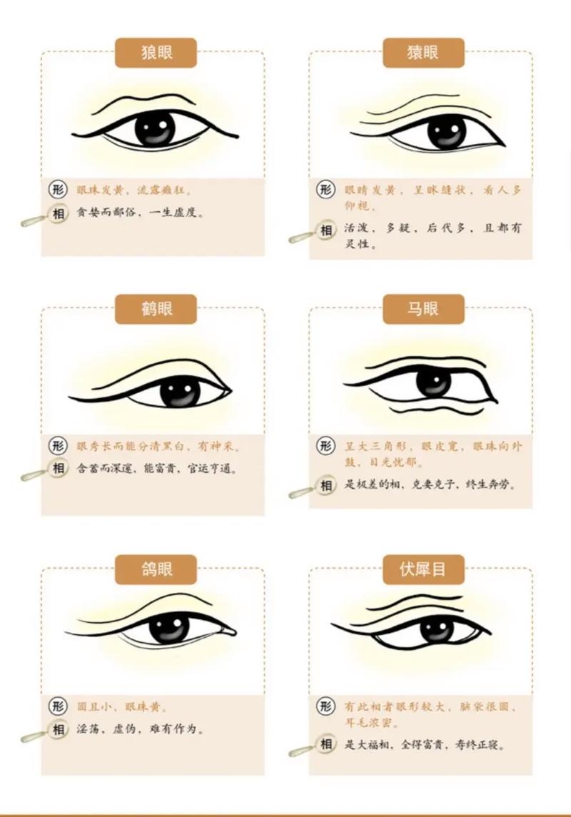 什么眼形像女人的面相 四方形脸型女人的面相