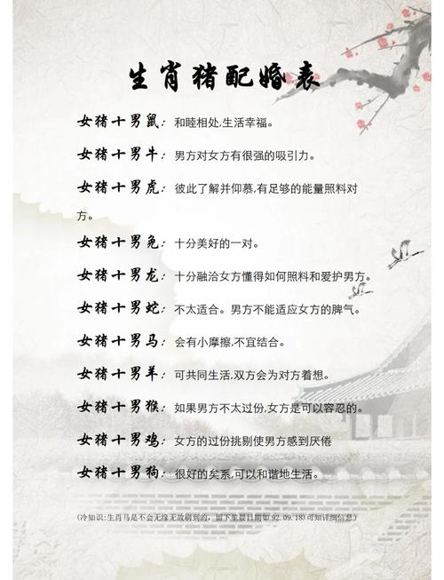 属猪女50岁婚姻 71年属猪2025年佩戴饰物是什么意思？