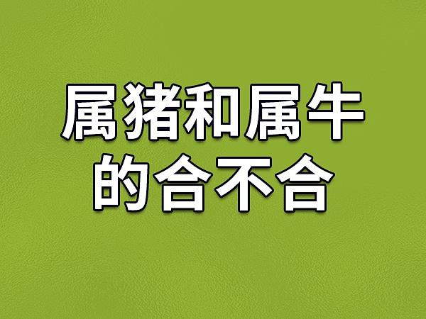 属牛男和属猪男的合不合财 男属猪女属牛合不合得来是什么意思？