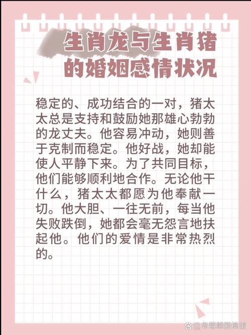 属猪与属龙的婚姻 属龙的和属猪的合伙做生意是什么意思？