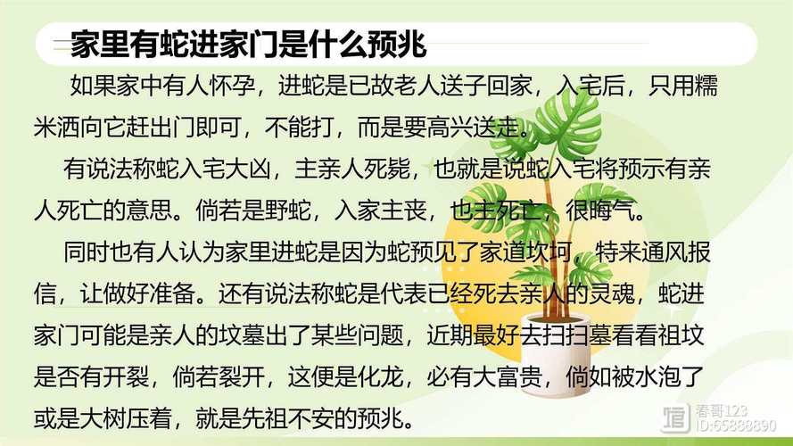 晚上家中进蛇吉凶 早上家里进蛇是好兆头吗