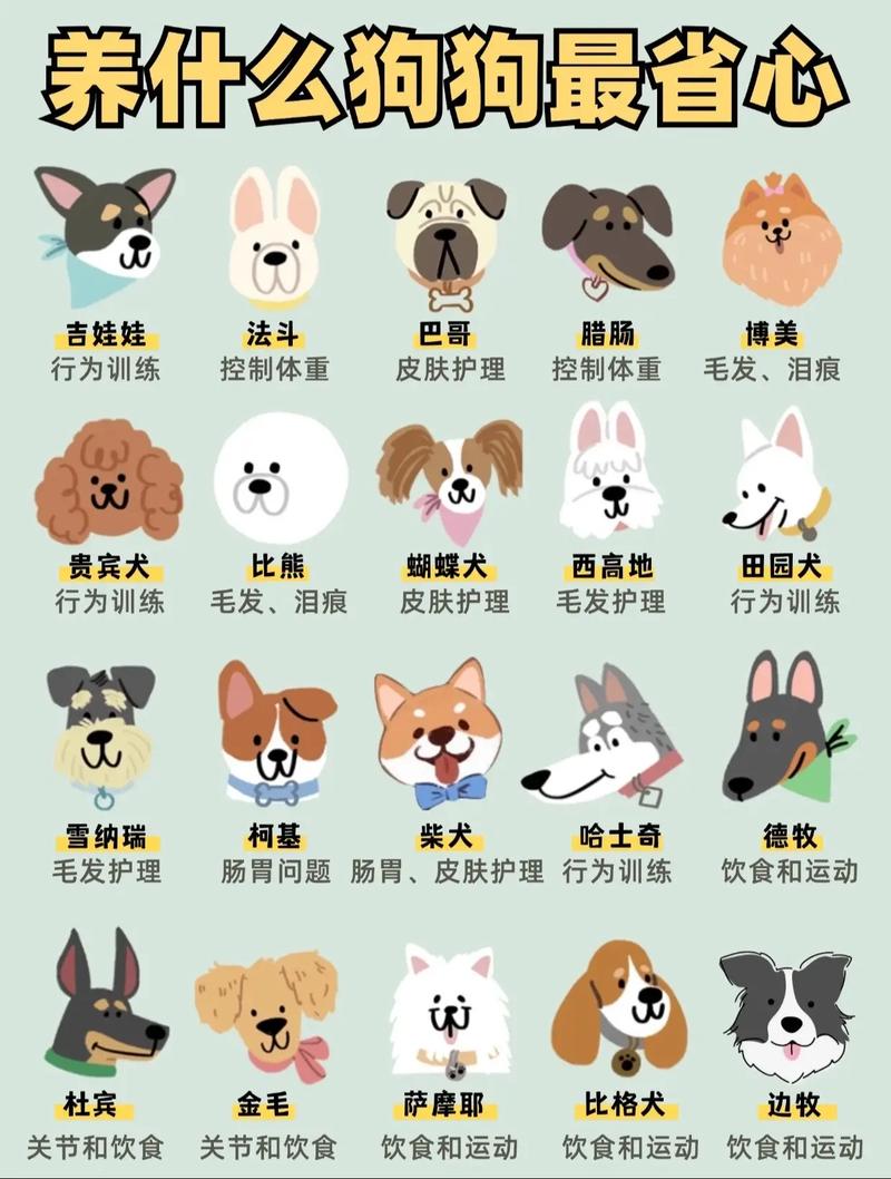 狗的六个合生肖是什么 属狗女戴什么最好最灵是什么意思？