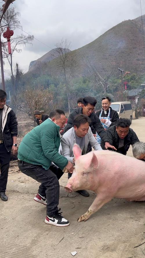 杀猪过端午是什么生肖 蛇年属龙佩戴的吉祥物是什么意思？
